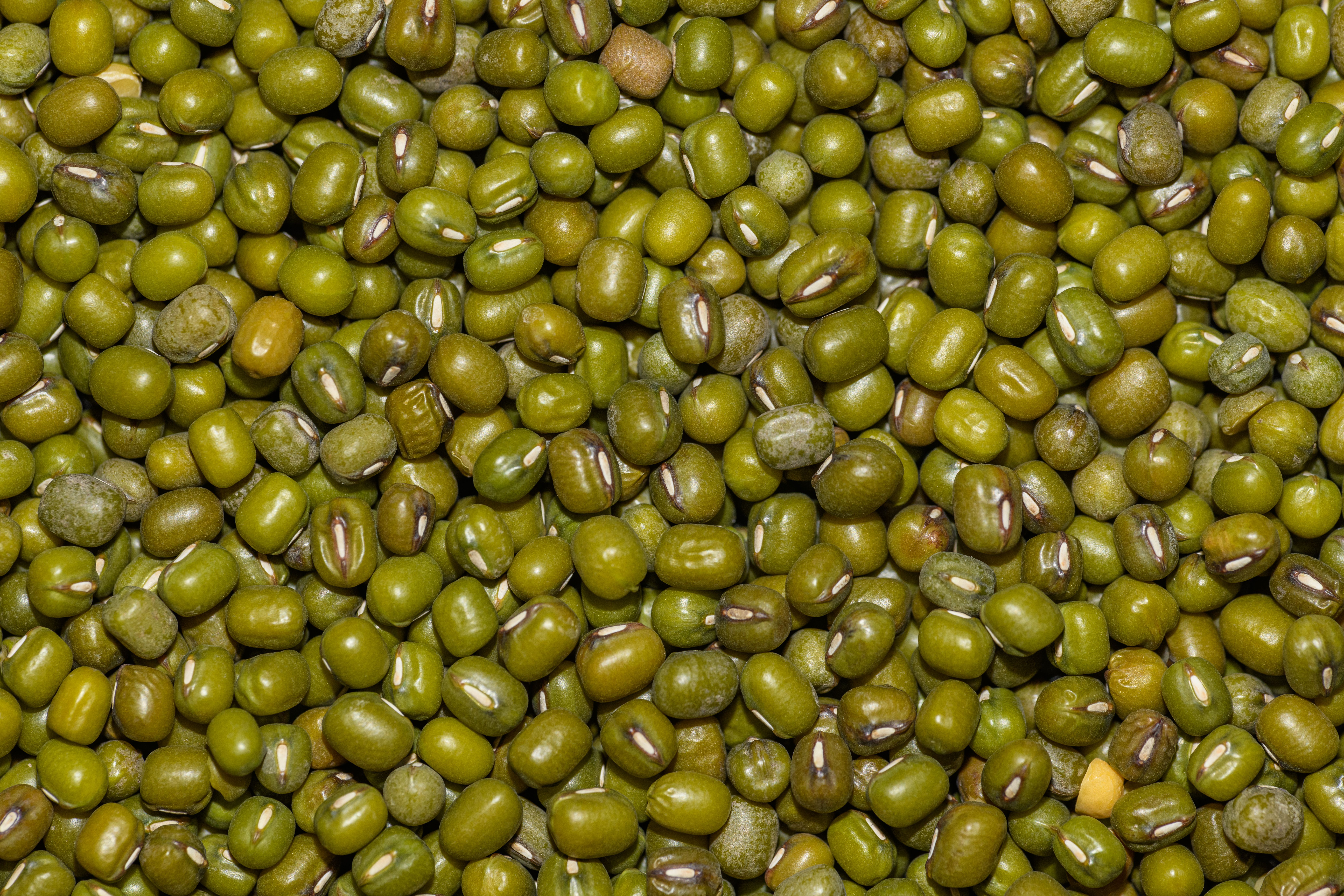Green Gram (Whole)